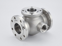 Stainless Steel Valve Body